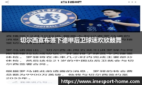 IM电竞官方网站