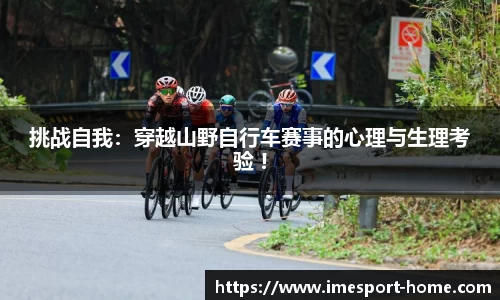 IM电竞