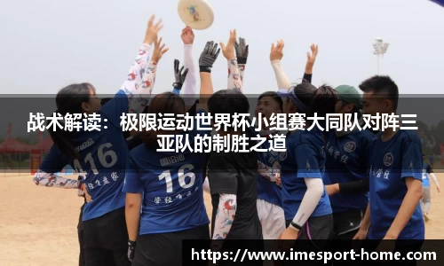 IM电竞官网