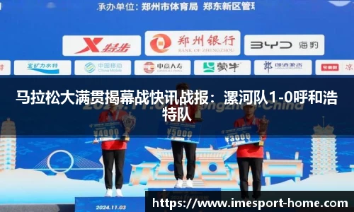 IM电竞官方正版网站