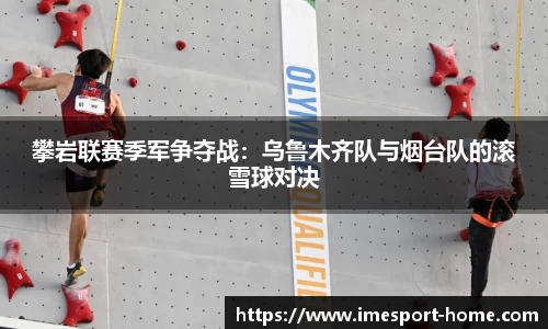 IM电竞官方网站