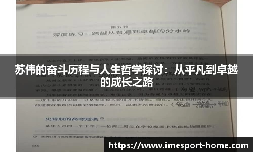 IM电竞