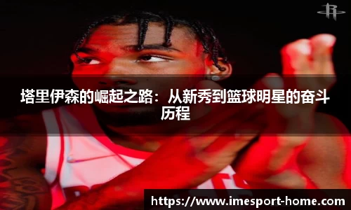 IM电竞官网
