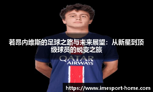 IM电竞